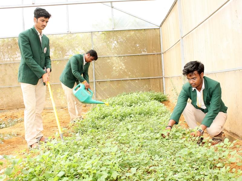 TIAC Campus & Facilities photo 20